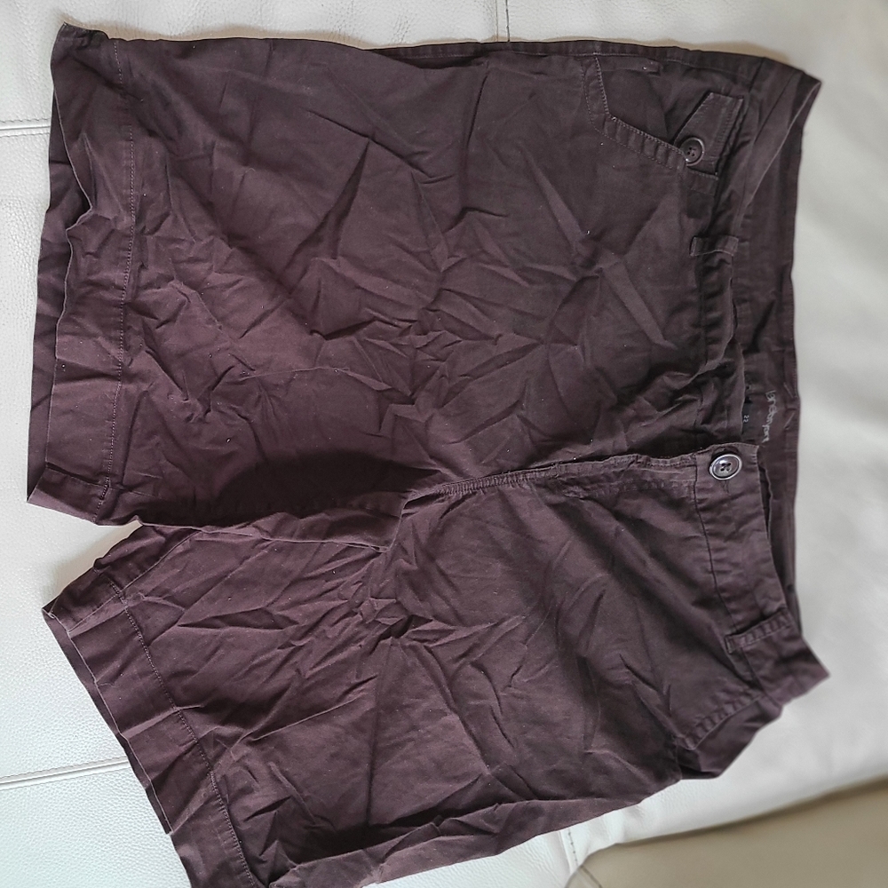 Lane Bryant Shorts
